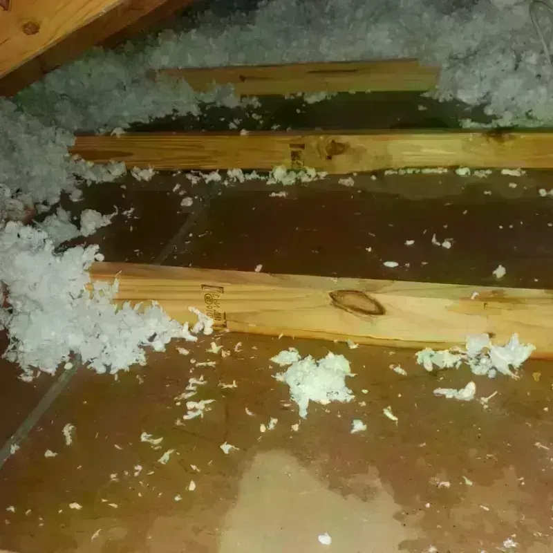 Attic Water Damage in Bushyhead, OK